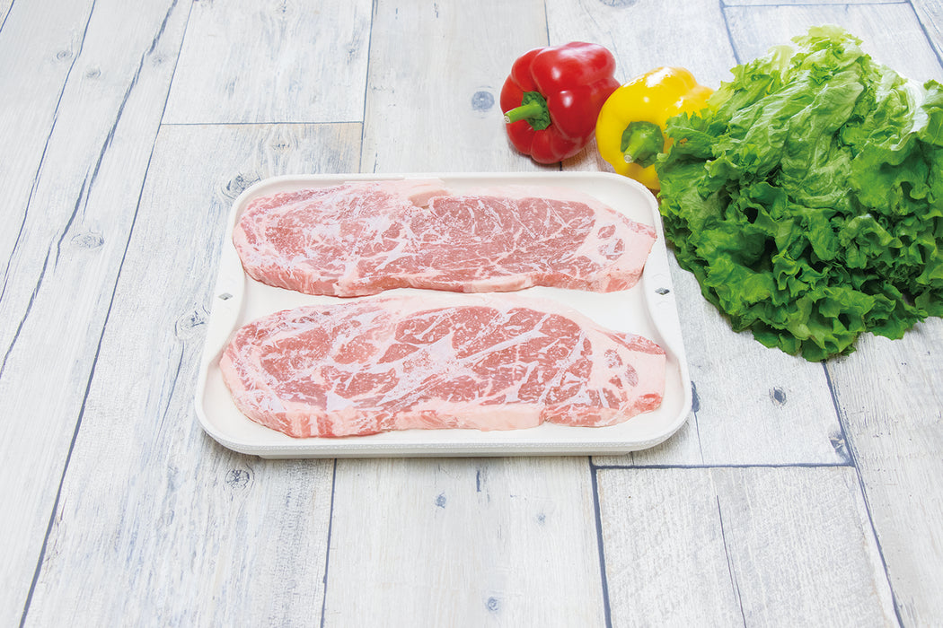 解凍皿 Newクイッ君