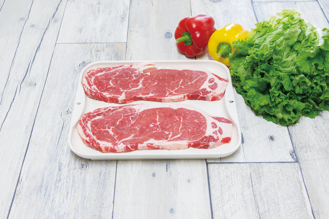 解凍皿 Newクイッ君